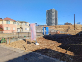 ���n�y�n�ʐ^�@-