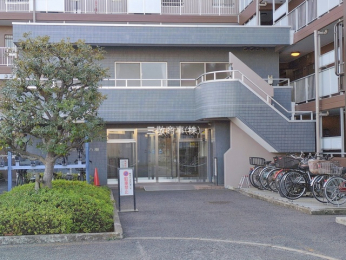 �G���g�����X�@-