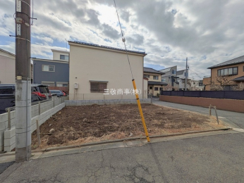 ���n�y�n�ʐ^�@-