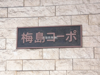 �G���g�����X�@-