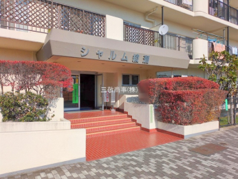 �G���g�����X�@-