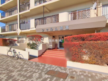 �G���g�����X�@-