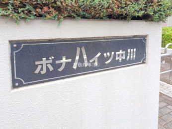 �G���g�����X�@-